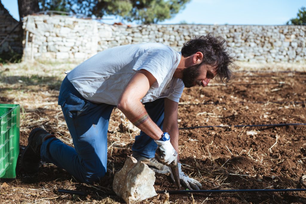 La terra, il tempo lento e la cura: la storia di Francesco